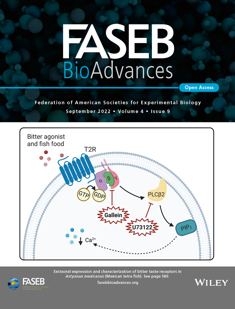 FASEB BioAdvances cover, September 2022, Volume 4, Issue 9: bitter taste receptors in Astyanax mexicanus